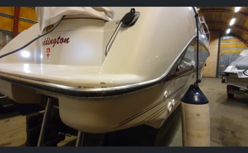 Maxum 2555 SCR-kuva-6